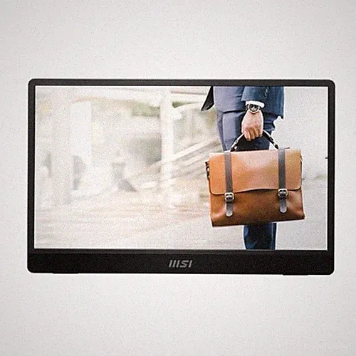 MSI PRO MP161E2U 16 CLASS FULL HD LED MONITOR 16:9 - BLACK