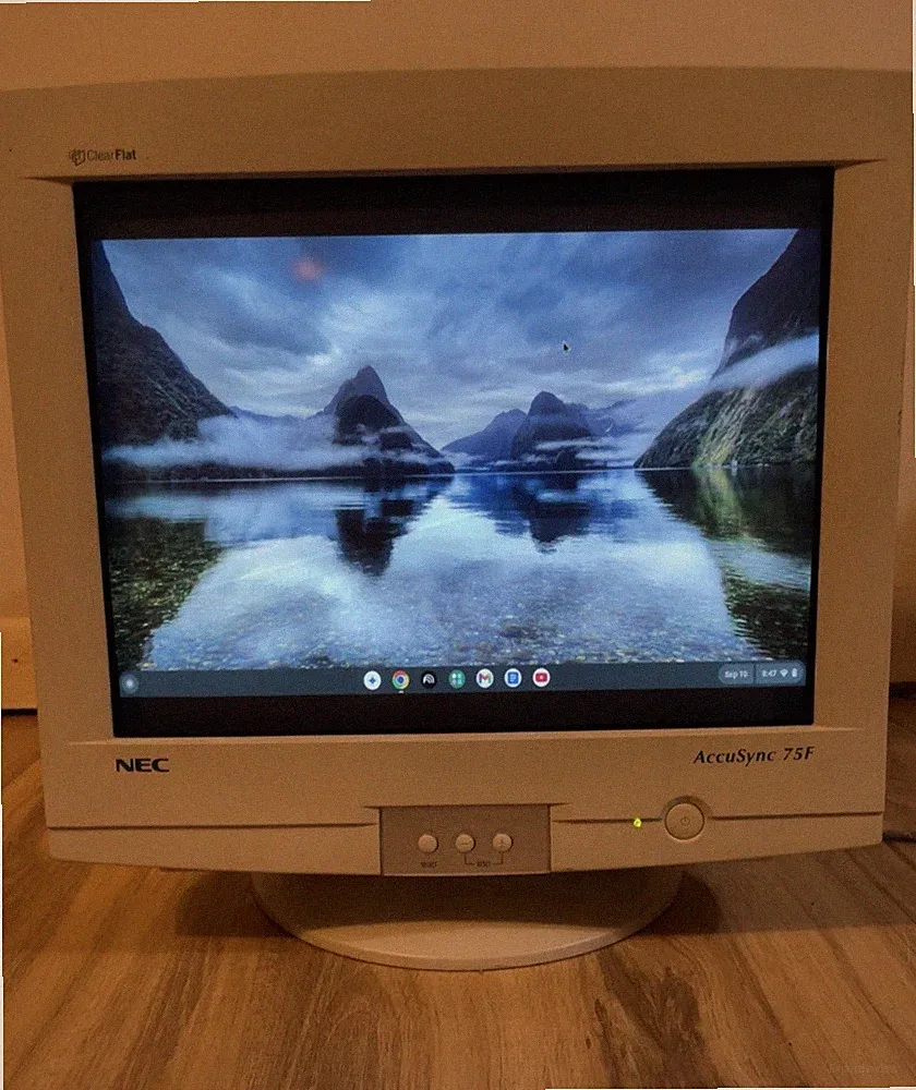 NEC AccuSync 75F 17" CRT Gaming Monitor 1280 x 1024 65Hz
