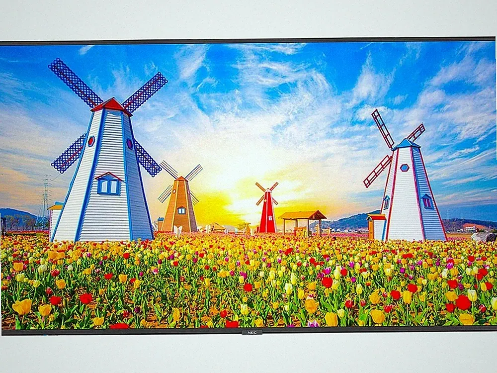 NEC Display 65 Ultra High Definition Professional Display
