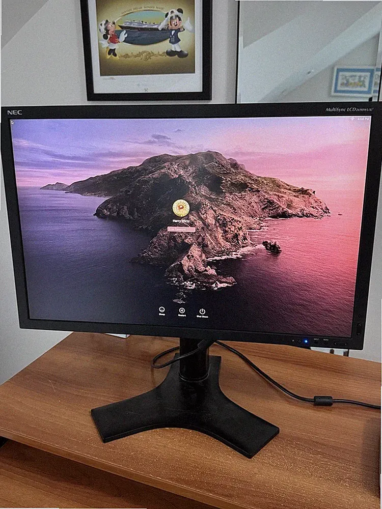 nec multisync monitor