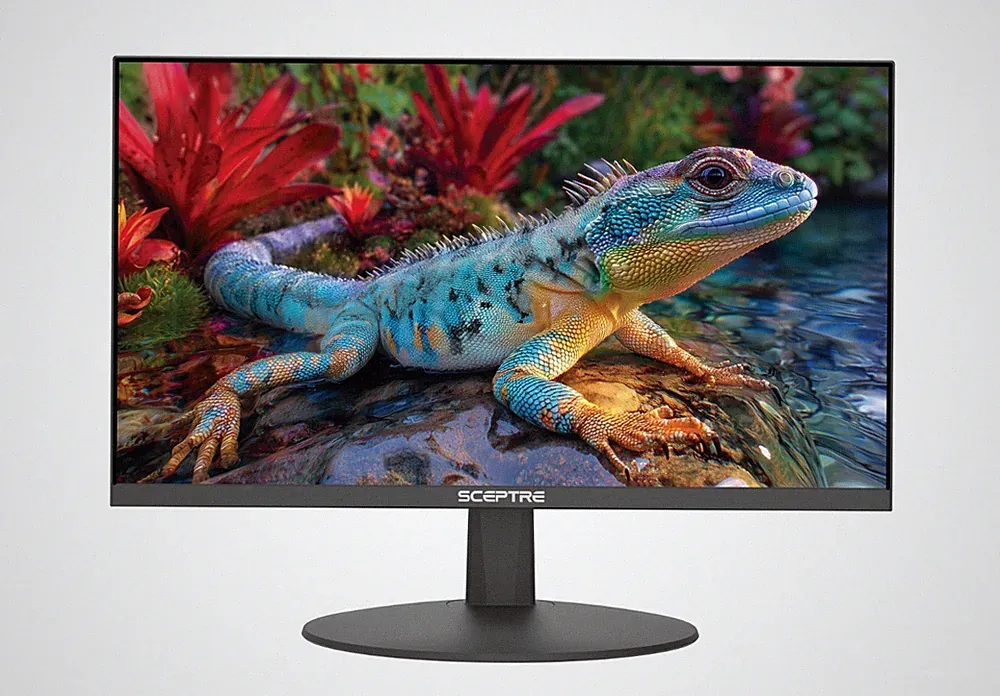 NEW Sceptre 22" 144Hz Gaming Monitor Full HD 1080p HDMI DP Built-In Speakers E22