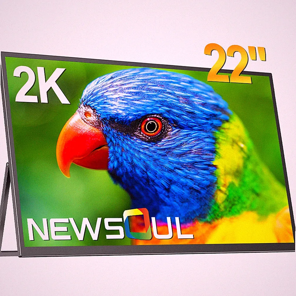 Newsoul 22" 2K Portable Monitor 2560x1440 FreeSync IPS HDR Large Gaming Display
