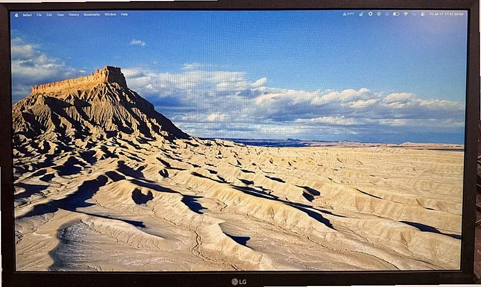 *NO STAND* LG 24ML44B-B 24in Widescreen IPS LED FreeSync Monitor - F25