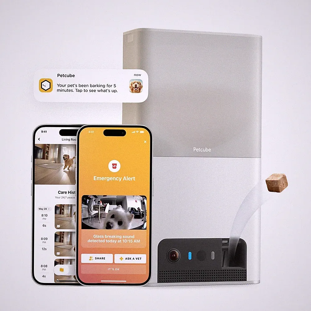Petcube Bites 2 Lite Interactive WiFi Pet Monitoring Camera with Phone App an...