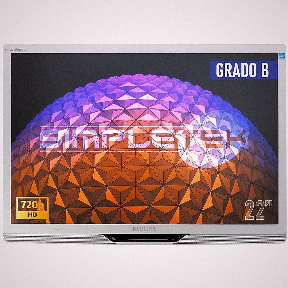 Philips 22" 16:10 HD Multimedia LCD Display Monitor DVI VGA VESA Speakers