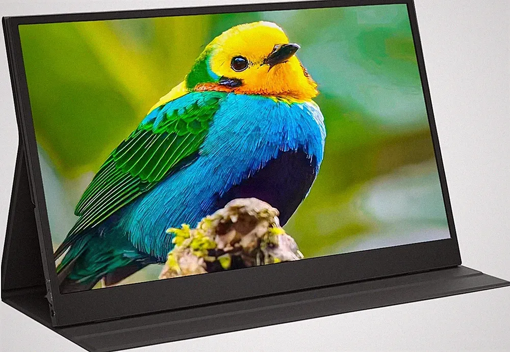Portable Monitor 15.6in FHD 1080 USB-C HDMI Computer Display IPS Gaming Monitor