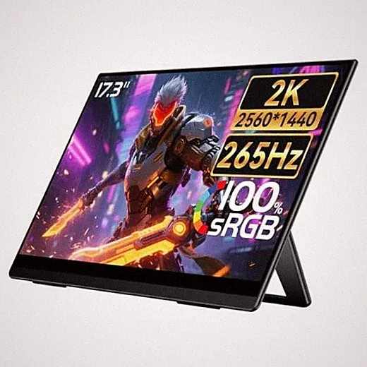 Portable Monitor for Laptop 17.3" 2.5K 265Hz D5 Air QLED Gaming External