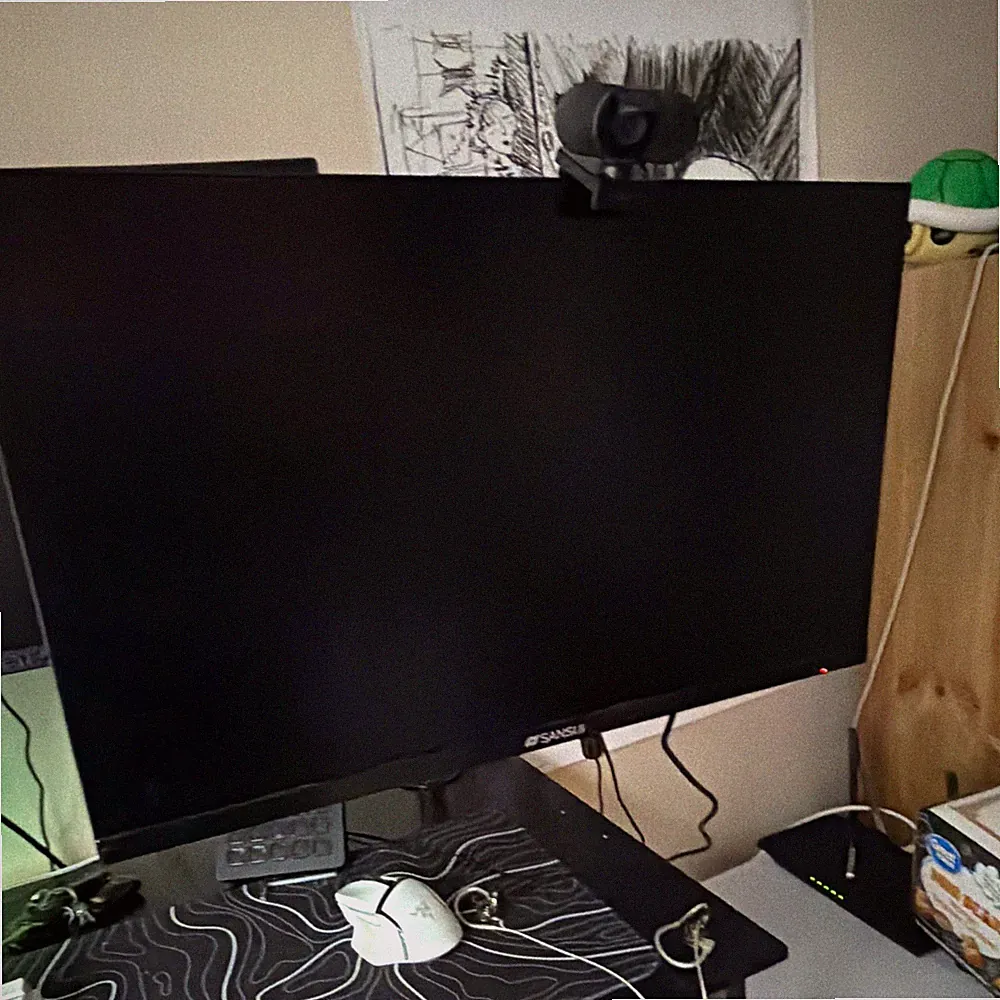 SANSUI Monitor 24 Inch 100Hz PC Monitor, HDMI VGA