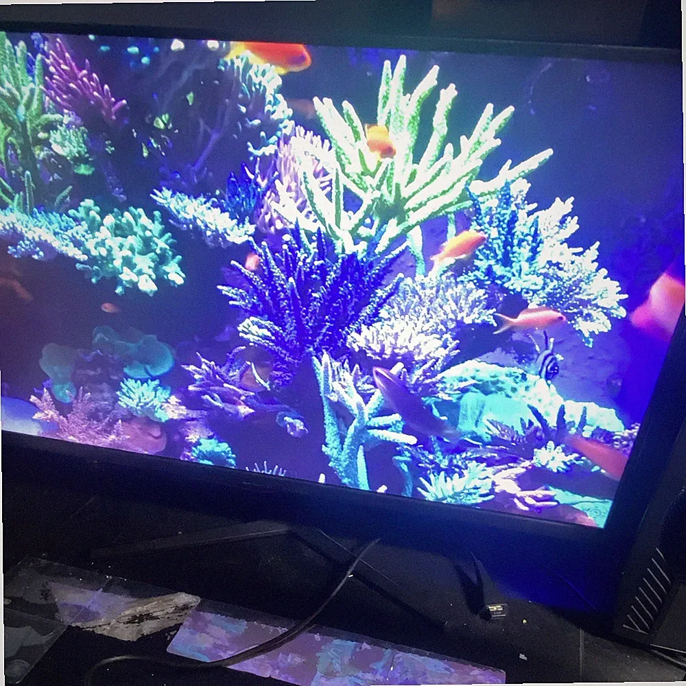 Sceptre 165 Hz 144 Hz Gaming Monitor