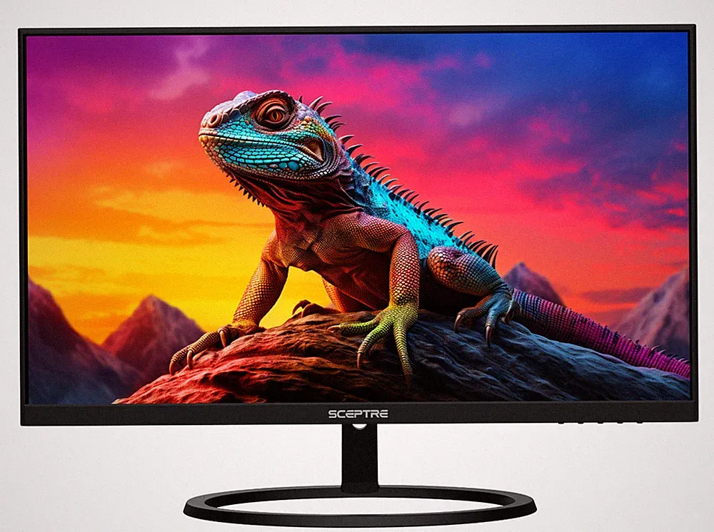 Sceptre 27 inch monitor 2560X1440 1440p 100Hz IPS (E275W-QPT1)