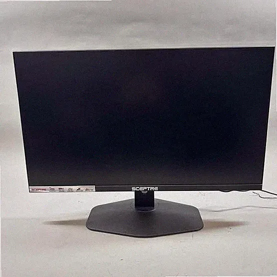 SCEPTRE - E248W FW100T 24 Inch Full HD 100Hz LED Gaming Monitor - Black