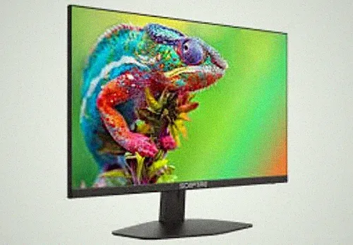 Sceptre E248W-FW100T Gaming Monitor 100Hz