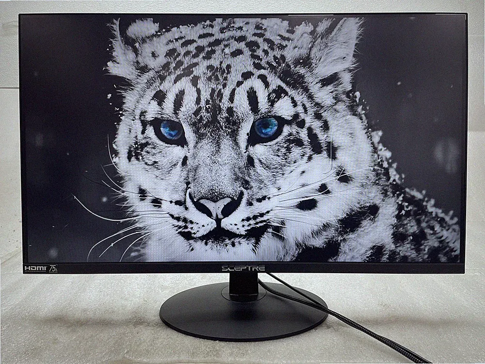 Sceptre E275W-FPT 27" FHD 1080p 75Hz Monitor HDMI VGA Build-In Speakers Grade B