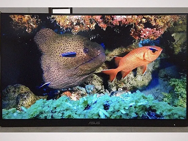 SCRATCH! ASUS 23.8" Full HD 1080p 100Hz IPS Monitor VA24EHF