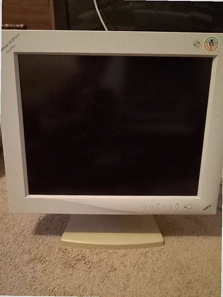 NEC next day delivery gaming monitor